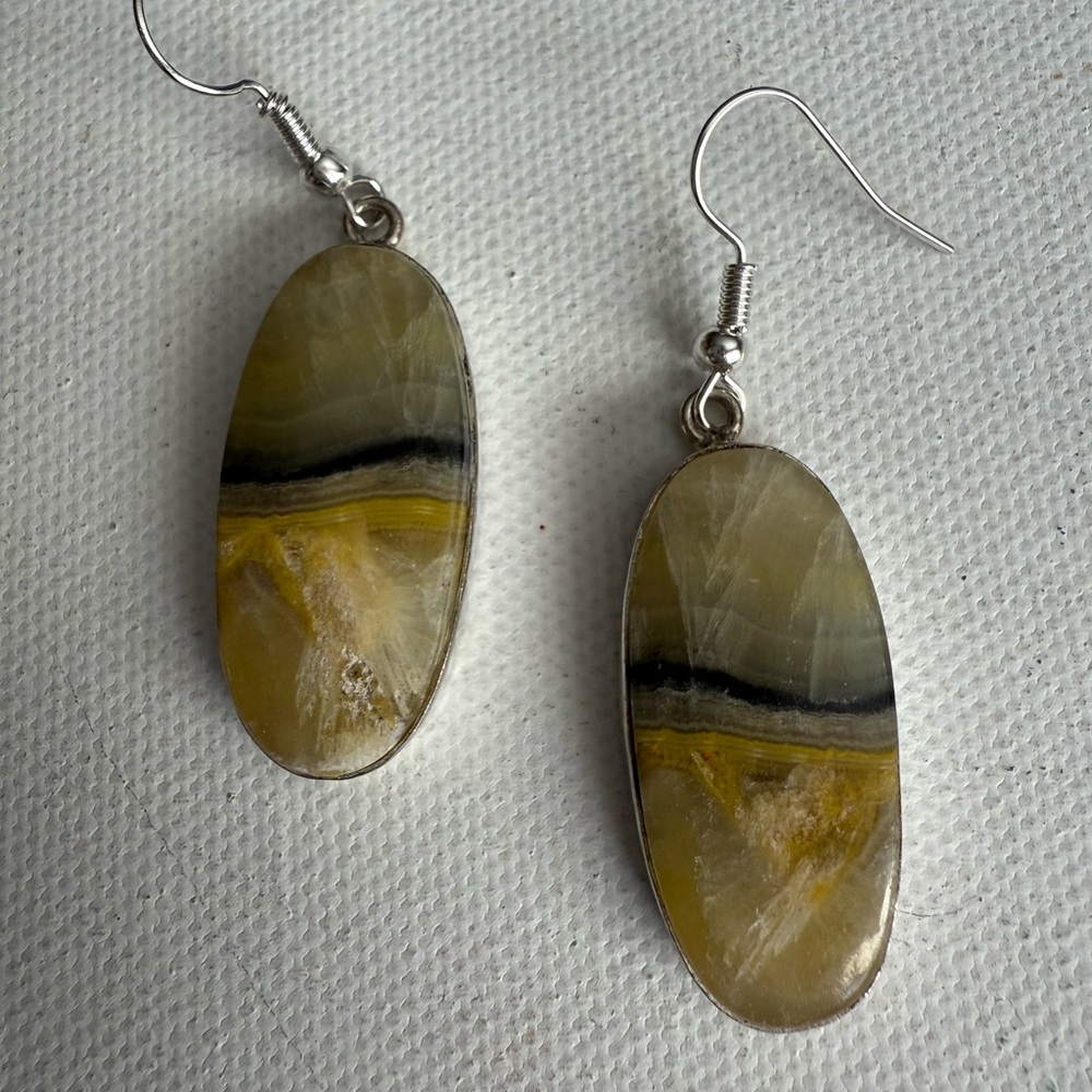 Bumblebee Jasper Dangle Oval Earrings - image 1